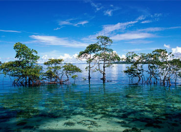 Amazing Andaman Holidays