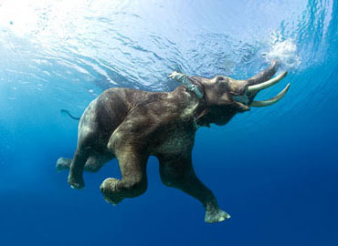 Amazing Andaman Holidays