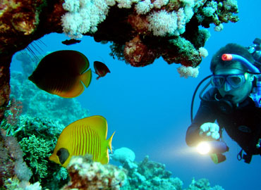 Amazing Andaman Holidays