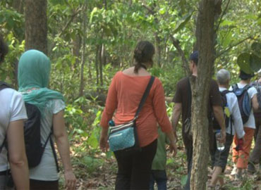 Amazing Andaman Holidays