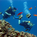 Amazing Andaman Holidays